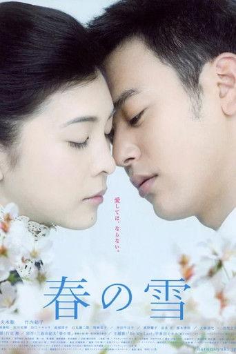 Spring Snow (2005) poster