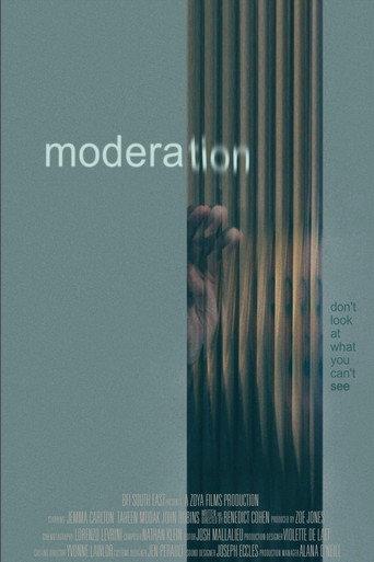 Moderation () poster
