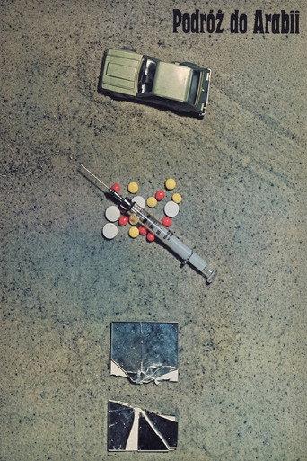 A Trip to Arabia (1980) poster