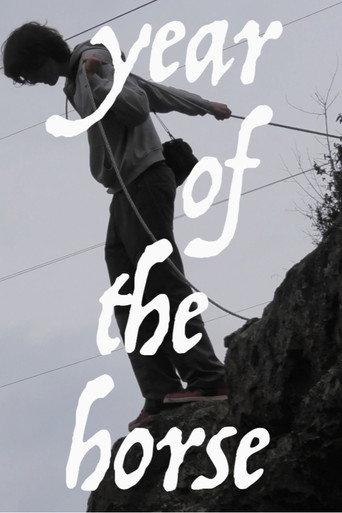 Year of the Horse (2026) poster