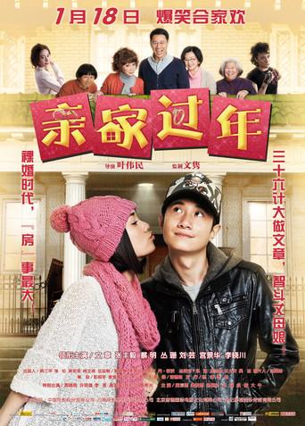 New Year's In-Laws (2012) poster