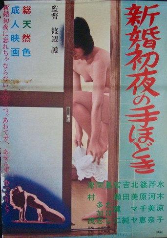 Shinkon shoya no tehodoki (1972) poster