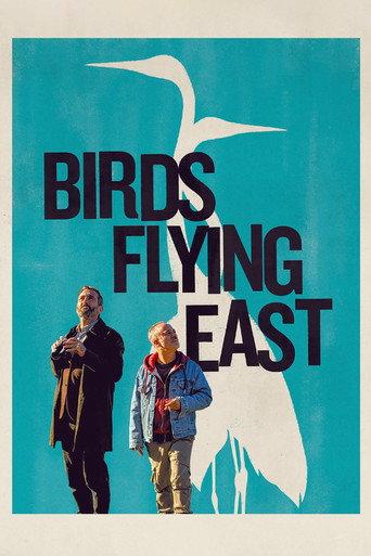 Birds Flying East (2024) poster