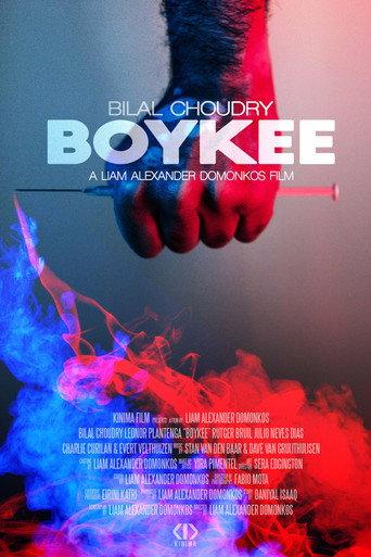 Boykee () poster