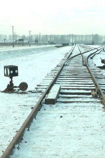 19 876 Steps in Auschwitz / Birkenau (2017) poster