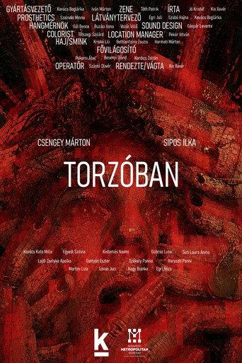 Torzóban (2026) poster