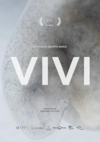 VIVI () poster