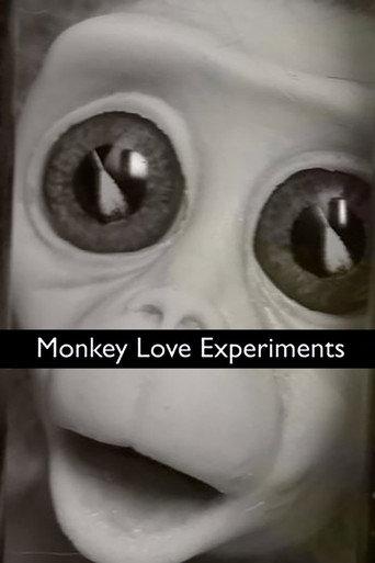 Monkey Love Experiments (2014) poster
