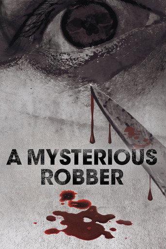 A Mysterious Robber (2012) poster