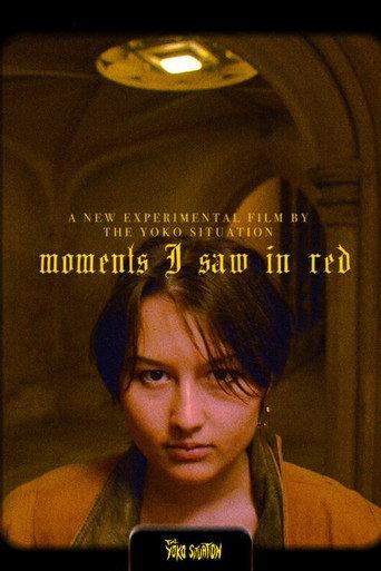 Moments I Saw in Red (2023) poster