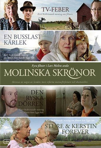 Den ryska dörren (2010) poster