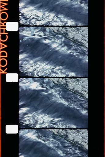 Venise (1978) poster