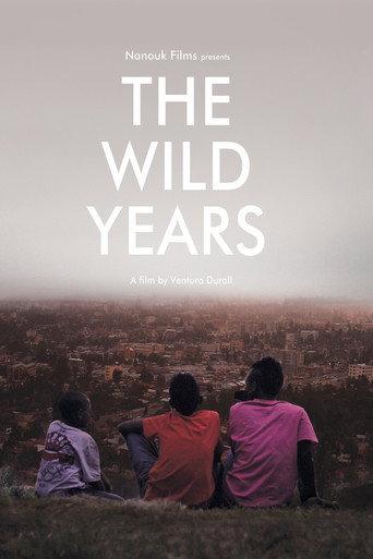 The Wild Years (2013) poster