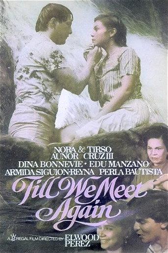 Till We Meet Again (1985) poster
