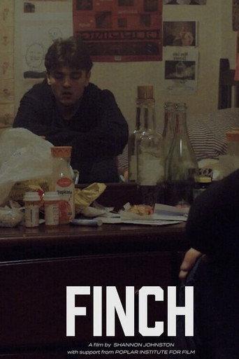 Finch () poster