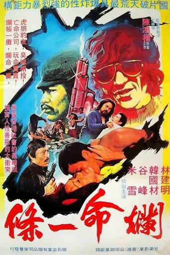 The Desperate Trio (1980) poster