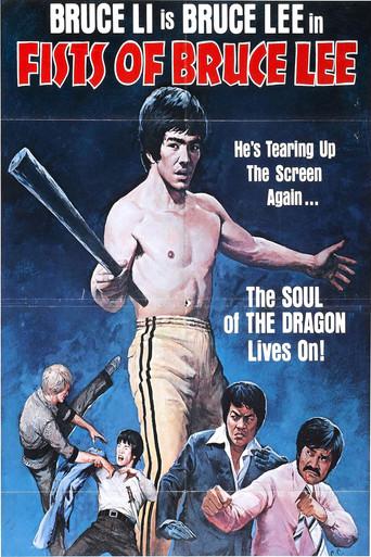Fists of Bruce Lee (1978) poster
