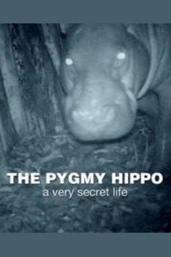 The Pygmy Hippo: A Very Secret Life (2014) poster