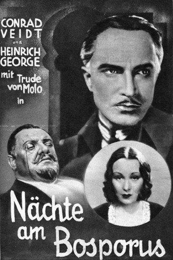 The Man Who Committed the Murder (1931) poster