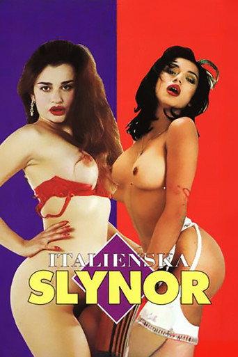 Anal Party (1993) poster