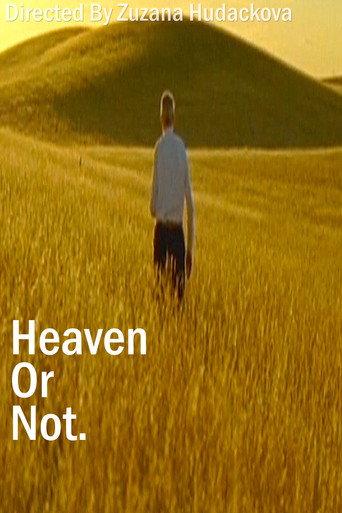 Heaven Or Not (2007) poster