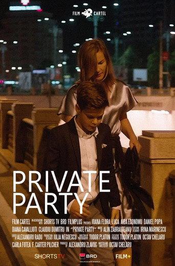 Private Party () poster