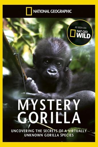 De mystiske gorillaer (2010) poster