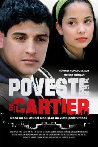 District Story (2008) poster
