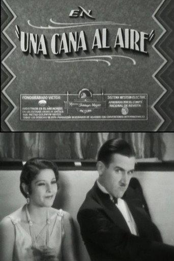 A gray in the air (1930) poster
