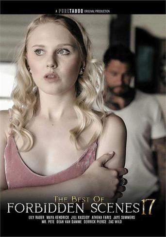 The Best of Forbidden Scenes 17 (2025) poster