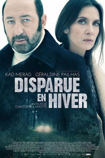 Disappeared in Winter (2015) poster