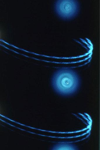 Pasteur³ (1976) poster