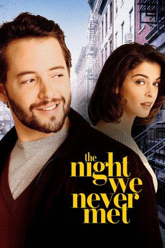 The Night We Never Met (1993) poster