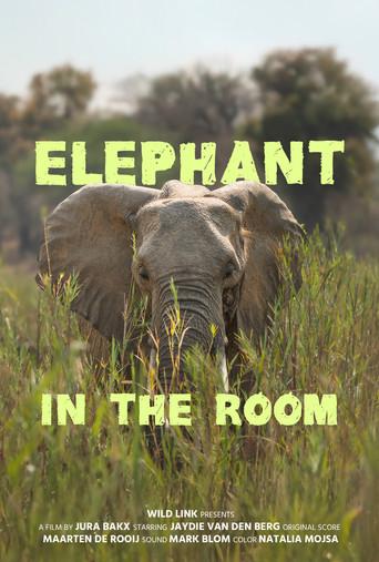 Elephant in the Room (2026) poster