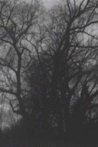 Late Autumn, Early Winter (2015) poster