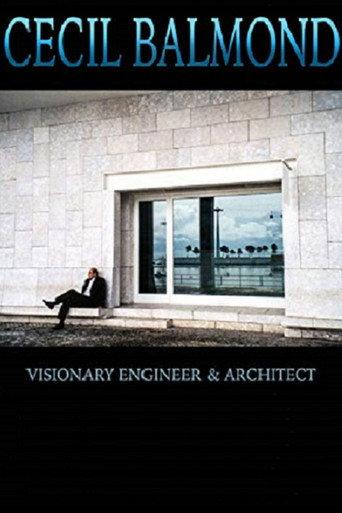 Cecil Balmond: Visionary Engineer and Architect (2009) poster