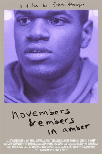 Novembers & Embers in Amber (2019) poster