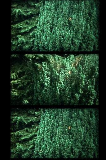 nur baum (1991) poster