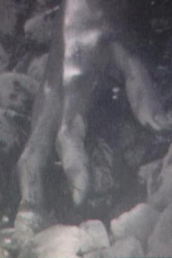 Broken Flesh Ecstasy (2005) poster