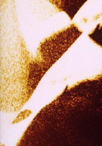 Spectral Cycle (2009) poster