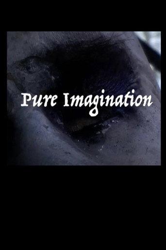 Pure Imagination () poster