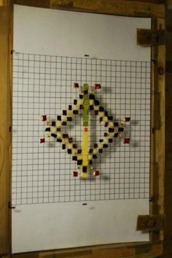 8 Frame Grid (2010) poster