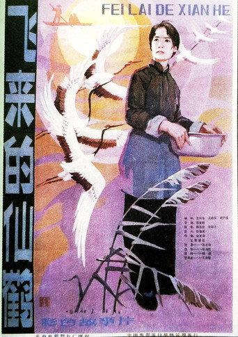 飞来的仙鹤 (1982) poster
