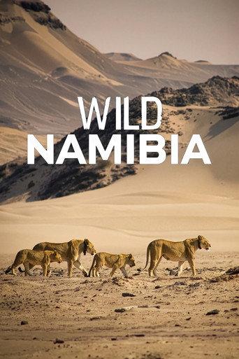 Wild Namibia (2013) poster