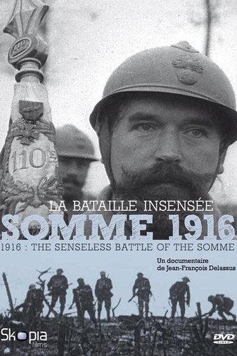 Somme 1916, la bataille insensée (2016) poster
