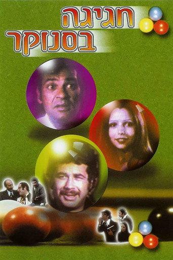 Festival At The Poolroom (1975) poster