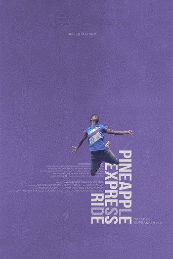 Pineapple Express Ride (2021) poster