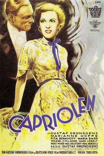 Love in Stunt Flying (1937) poster