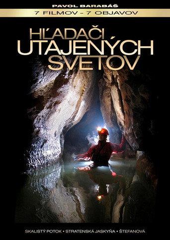 The Secret World's Seekers (2010) poster