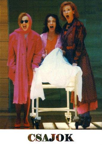 Bitches (1995) poster